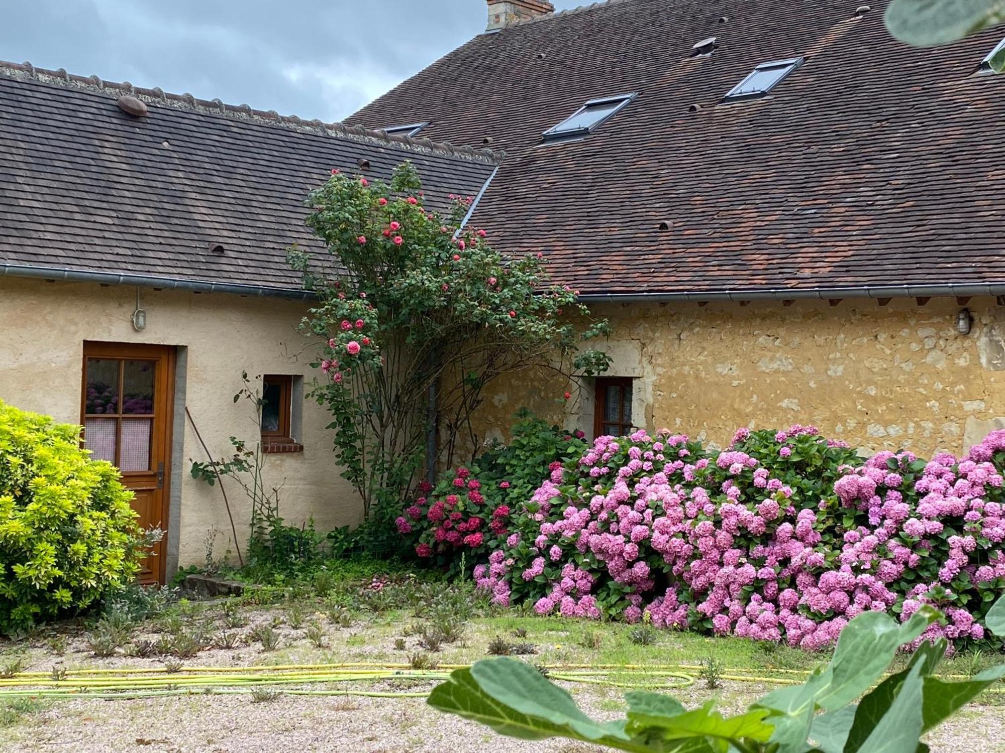 Chambre D'Hotes Du Domaine De La Haute Poignandiere Saint-Germain-de-la-Coudre Buitenkant foto